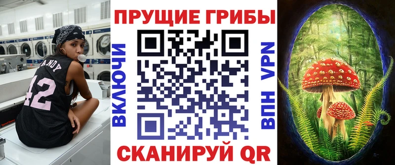 наркота ОМГ ОМГ онион Галлюциногенные грибы Psilocybine cubensis Ростов-на-Дону